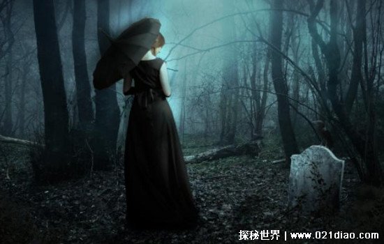 瓜哥吃瓜网海报